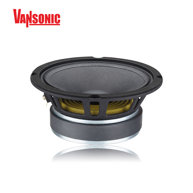 Haut-parleur de milieu de gamme audio de voiture 300w (RMS) 10 pouces